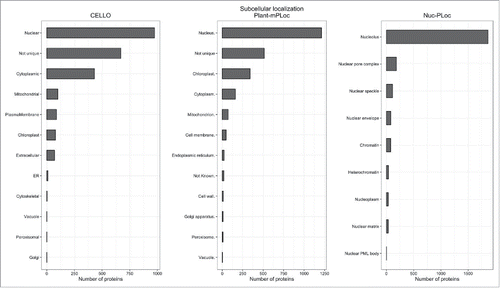 Figure 6. Predicted subcellular localization. The subcellular localization of nuclear proteins identified in 3 phases of the cell cycle as predicted by CELLO, Plant-mPLoc and Nuc-PLoc.