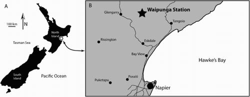 Figure 1. Map of New Zealand and Hawke’s Bay region showing locality of CD 35, Miroungini gen. et sp. indet. A, Map of New Zealand. B, Map of Hawke’s Bay region showing position of Waipunga Station.