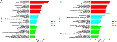 Figure 2. The top 10 enriched GO terms for the identified genes targeted by DELs (A) and DEGs (B) in MM_FT and MM_LT.