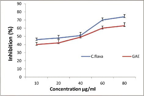 Figure 4. Nitric oxide scavenging activity of Caralluma flava ethanol extract and gallic acid as a standard.