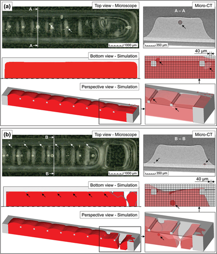 Figure 15. Qualitative comparison of representative specimens (scanned with microscope and micro-CT) and corresponding simulation exhibiting the final state of the aperture after the squeegee process with (a) and without (b) a venting gap. Bubbles produced due to the presence of threads (Mechanism 3) are visible in both experimental and simulation results, as indicated by the arrows. Two additional views (perspective and symmetry plane showing mesh cell size) of the two last threads (aperture extremity) from the simulated cases were included with the adhesive showing transparent properties to better visualize the generated bubbles.