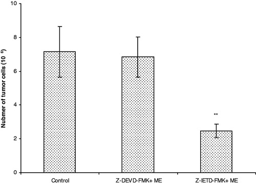 Figure 6. Effect of caspase inhibitors on EAC cell. Results are shown as mean ± SEM (standard error of mean), where significant value **p < 0.01 when (EAC + ME + Z-IETD-FMK) treated mice compared with EAC bearing control mice (EAC bearing only).
