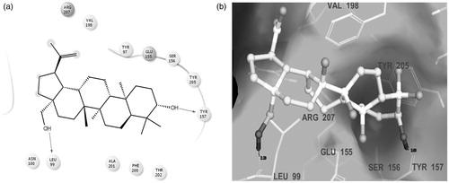 Figure 6. Binding modes of the isolated compound betulin at the GABAA receptor target protein: (a) 2D ligand interaction diagram; (b) 3D ligand interaction diagram, showing ligand–receptor H-bond interactions.
