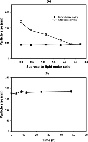 FIG. 3 (A) Effect of sucrose on the change of the mean particle size of liposome before (•) and after (ˆ) freeze drying. The liposomes were prepared using 10%% (w/v) of S100PC with cholesterol (CH-to-lipid molar ratio = 10:90) and were loaded with 3.5 mg/mL paclitaxel. The hydration medium was PBS (pH 4.0) containing 3.0% (v/v) Tween 80 and 5% (v/v) PEG 400. Liposome particles were separated by ultrafiltration and were suspended with distilled water containing various concentrations (molar ratio to lipid) of sucrose before freeze drying. (B) Change of particle size of liposome containing sucrose as a lyoprotectant (sugar-to-lipid molar ratio = 2.3) at room temperature when freeze-dried liposome powder was reconstituted with 0.9% (w/v) NaCl solution.