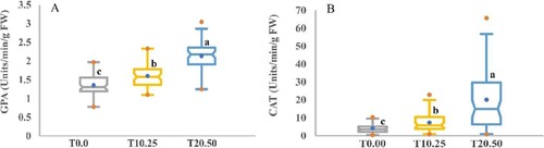 Figure 11. Boxplot analysis of variation of the antioxidant enzyme activity. (A) Guaiacol peroxidase activity (GPA) and (B) Catalase activity in barley accessions under control and drought stress. The determined values are the average values calculated from three measurements for control (T0.00) and PEG concentrations (T10.25 and T20.50). Diverse letters designate a significant disparity between box mean values by Duncan’s Multiple-Range Analysis (p ≤ 0.01). A blue dot in the box symbolizes the mean value. Red dots indicate the minimum and maximum values.