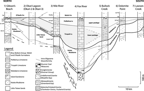 Figure 2 N–S cross-section through the western flanks of the Paparoa Range. The cross-section is hung on the Oligo-Miocene boundary. Although it is unlikely that any particular surface is truly flat, by using this surface the diagram emphasizes the underlying Eocene and basement topography, as well as the correlation between the location of Late Cretaceous structures and Paleogene basin geometry. Thicknesses are taken from sections measured as part of this study where possible (e.g. Oligocene strata) and from measured sections of Lever (Citation2001), Nathan et al. (Citation1986) and Wellman et al. (Citation1981) for Eocene and Miocene strata.