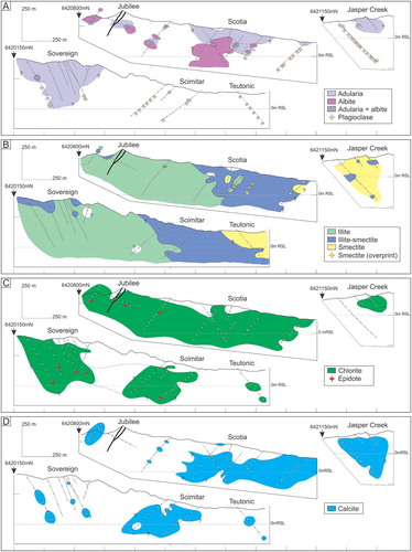 Figure 12. Cross sections through the Waitekauri deposits and prospects showing the occurrence of selected alteration minerals identified from XRD and petrography. A, Adularia, albite and igneous plagioclase, B, illite, illite-smectite and smectite, C, chlorite plus epidote, and D, calcite (modified Simpson and Mauk Citation2011). Circles show sample locations. Several drill holes protrude above the cross section topographic surface because they have been projected onto the section. Cross section locations are shown in figure 2D. RSL = relative current sea level.