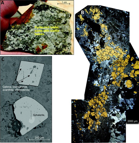 Figure 7. Mineralised pyrite-rich clots in granite affected by phase 1 potassic and phase 2 phyllic alteration (OU84922). A, Pyrite-rich blebs partly surrounded by the remains of biotite haloes which survived later phyllic alteration. B, Pyrite-rich clot in which pyrite grains are intergrown with adjacent sericite-altered feldspars and quartz, rather than forming a continuous vein that cuts the adjacent granite. C, Pyrite grains within the clots contain inclusions of pyrrhotite, chalcopyrite, sphalerite, galena, bismuthinite, Bi-telluride, molybdenite, acanthite and monazite.