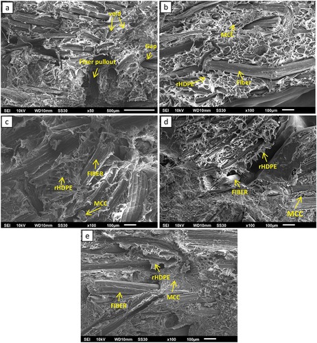 Figure 2. SEM micrograph of composite tensile fracture surface with MCC: (a) 0% wt; (b)1%wt; (c) 2%wt; (d) 3%wt; (e) 4%wt.