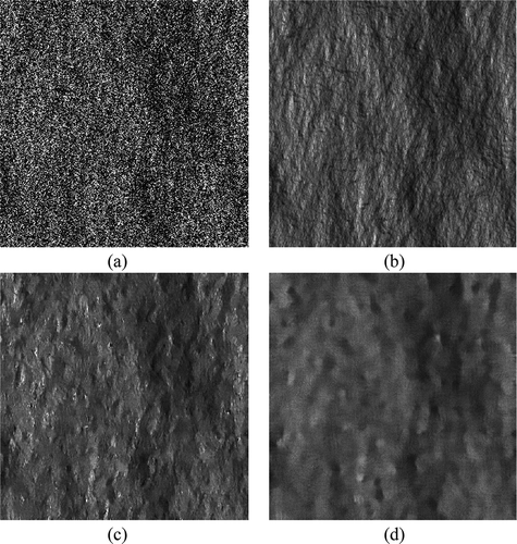 Figure 4. Simulated and despeckled SAR images relevant to the DEM in Figure 1(a) and assuming the cos2  scattering model. (a) Noisy; (b) reference SAR image; (c) SB-PPB; (d) PPB.