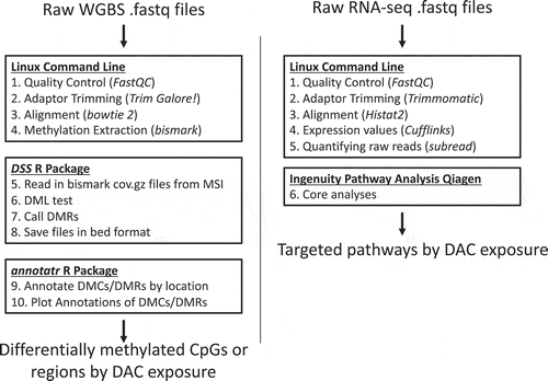 Figure 1. Whole Genome Bisulphite Sequencing (WGBS) and RNA-seq Bioinformatics Pipeline WGBS and RNA-seq pipelines were processed separately. The goal of the pipelines was to identify differentially methylated CpG sites or regions and to categorize affected pathways by Decitabine exposure. Linux command line, R studio, and Ingenuity Pathway Analysis by Qiagen were used for data analysis