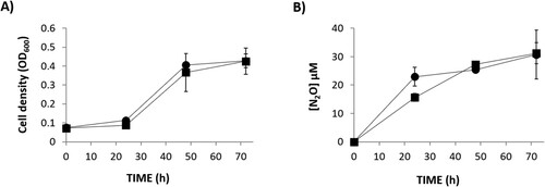 Figure 3. Growth (A) and N2O accumulation (B) by R.etli CE3 (WT) (▪) and narK(●), cultured microoxically with NO2- as the sole N source. Data are means with standard error bars from at least two independent cultures assayed in triplicate.