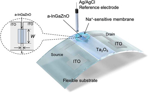 Figure 1. Structure of ISTFT. The schematic illustration also shows the setup for measurement.