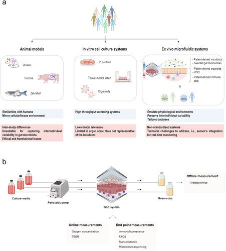 Figure 1. GoC systems in research (a) Overview of the pros and cons of commonly used models in microbiome research. Main advantages of each system are emphasized in blue, while drawbacks are shown in red. (b) Examples of features and design for GoC systems.