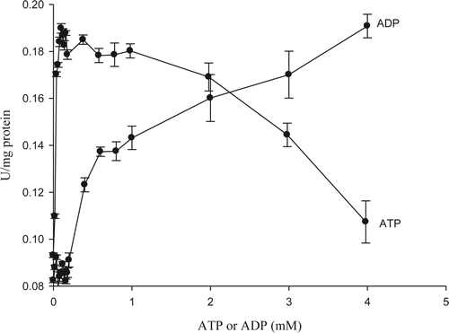 Figure 6. ATP and ADP effect on enzyme activity of 5′-nucleotidase purified from jumbo squid mantle. Enzyme essay: 40 μL of enzyme extract were taken and mixed with 360 μL of 10 mM AMP in 40 mM sodium citrate (pH 4.5) containing 20 mM MgCl2, 20 mM CaCl2, and 200 mM NaCl. The reaction was carried out for 10 min at 50 °C. Figura 6. Efecto del ATP y ADP sobre la actividad enzimática de 5′-nucleotidasa purificada del manto de calamar gigante. Ensayo enzimático: 40 μL de extracto enzimático + 360 μL de AMP 10 mM en citrato de sodio 40 mM (pH 4,5) conteniendo MgCl2 20 mM, CaCl2 20 mM, y NaCl 200 mM. Diez min de reacción a 50 °C.