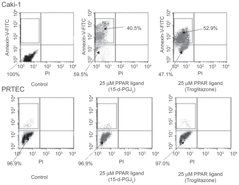 Figure 4 Effects of PPAR-γ ligand on apoptosis by flow cytometry in RCC cells. Human RCC cell line (Caki-1) with treatment of PPAR-γ ligand (25 μM troglitazone and 15-d-PGJ2) could induce early apoptosis not late apoptosis or necrosis. PPAR-γ ligand (25 μM) did not cause normal proximal tubular endothelial cells (PRTEC) to undergo apoptosis. The top left quadrants represent early apoptosis (Annexin V-FITC-positive cells and PI-negative cells). The top right quadrants represent late apoptosis or necrosis (Annexin V-FITC-positive cells and PI-positive cells). Diagrams of FITC-Annexin V/PI flow cytometry are presented.