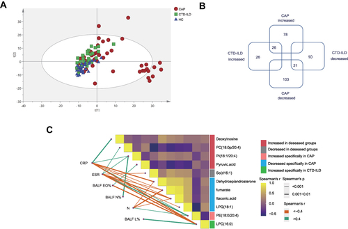 Figure 3 Metabolic and lipidomic profiles of CAP patients and controls. (A) A principal component analysis (PCA) score plot of metabolic and lipidomic profiles in BALF samples. PCA score plot colored according to sample group: red circles, severe CAP (SCAP); blue triangles, healthy control (HC); green squares, CTD-ILD. (B) Venn plot to identify the differential metabolites associated with CAP and CTD-ILD patients (P ≤ 0.05, and VIP > 1). (C) Correlation analysis among metabolites and relationships with inflammatory mediators. The green lines represent positive correlations and the Orange lines represent negative correlations. WBC white blood cell, N neutrophil, CRP C-reactive protein, ESR Erythrocyte Sedimentation Rate, BALF_N% the percentage of polymorphonuclear leukocyte in bronchoalveolar lavage, BALF_L% the percentage of lymphocyte in bronchoalveolar lavage, BALF_EO%, the percentage of eosinophil in bronchoalveolar lavage.