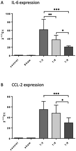 Figure 5. Influence of intraperitoneal feces injection on the expression levels of the pro-inflammatory cytokine IL-6 and chemokine CCL2 in the murine spleen. 9 h after feces injection, animals were sacrificed, spleens were removed, snap frozen in liquid nitrogen, and stored at −80°C until further use. Total RNA was extracted, reverse transcribed into cDNA, and the mRNA levels of IL-6 and CCL2 were quantified by real-time PCR. Target gene expression was normalized to expression of 18s RNA, and induction of target genes was calculated using the 2-ΔΔCT method. All treatment groups were significantly different from control and sham groups, differences between the feces dilutions used were significant when indicated. The graphs compare the expression of genes of interest in the treatment groups relative to the control (fold changes). Mean + SD (n = 4 −8 animals per group), p < 0.05 (ANOVA, Tukey multiple comparisons-test).
