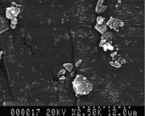 FIG. 3 SEM image of Budesonide drug particles.