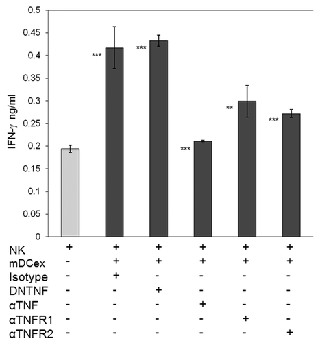 Figure 7. Transmembrane TNF, but not soluble TNF, mediates DCex-induced activation of NK cells. NK cells alone, and NK cells mixed with 20 μg DCex in the presence of isotype control antibodies (Isotype), dominant negative TNF (DNTNF), which selectively sequestrates soluble TNF, anti-TNF XT22 antibody (αTNF), which neutralizes both soluble and transmembrane TNF, anti-TNFR1 (αTNFR1) and anti-TNFR2 (αTNFR2) antibodies, which both block the TNF-binding domain of the corresponding receptors, were incubated for 24 h. Following incubation, cell-free supernatants were assessed for IFNγ using ELISA. Data are from a representative experiment of 3 experiments performed. They are means ± SD of triplicates IFNγ ng/0.5 × 106 NK cells/mL. Asterisks indicate statistically significant differences in data from of NK vs. NK+mDCex+Isotype; NK vs. NK+mDCex+DNTNF; NK+mDCex+Isotype or NK+mDCex+DNTNF vs. NK+mDCex+αTNF, NK+mDCex+αTNFR1 or NK+mDCex+αTNFR2 (**, p = 0.005; ***, p < 0.001).