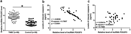 Figure 2. Plasma lncRNA POU3F3 level was upregulated in TNBC patients and was significantly and inversely correlated with levels of cleaved caspase 9.Expression levels of lncRNA POU3F3 were higher in TNBC patients than in healthy controls (a) and were significantly and inversely correlated with levels of cleaved caspase 9 in TNBC patients (b) but not in healthy controls (c) (*, p < 0.05).