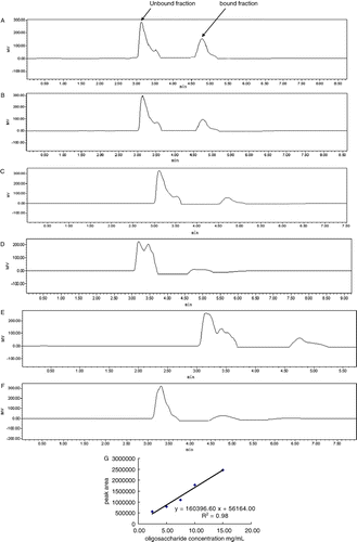 Figure 3. Sugar concentration of βLG-IMO solution was determined using HPLC. A–E: standard curve plotted using standard IMO at concentrations of 15 mg/mL, 10 mg/mL, 7.5 mg/mL, 5 mg/mL and 2.5 mg/mL, respectively, F: βLG-IMO solution, G: standard curve.