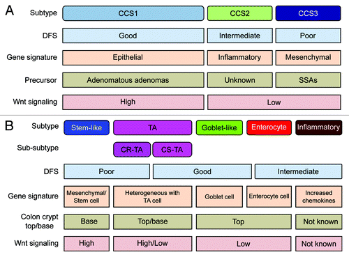 Figure 1. Overview of CRC classification studies. (A and B) Graphic showing the clinical and biological characteristics and gene signatures of Colon Cancer Subtypes (CCS) (A) and CRCassigner subtypes (B). SSA, sessile serrated adenoma; TA, transit-amplifying; CR-TA, cetuximab-resistant TA; CS-TA, cetuximab-sensitive TA; DFS, disease-free survival.