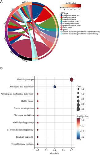 Figure 4 The results of enrichment analysis for ferroptosis-related genes (FRGs). (A) The GO analysis. (B) The KEGG enrichment analysis.