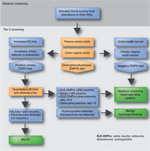 Figure 2 Overview of MSUD testing algorithm in NBS