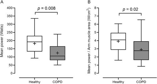 Figure 3. Mean power, expressed in watts (panel A) and normalized by arm muscle area (panel B), during the Wingate test in healthy subjects and COPD patients. Data is shown as median (25th–75th percentile). Whiskers denote minimum and maximum values. Plus signals (+) represent mean values. W/cm2: Watts per centimeters squared.