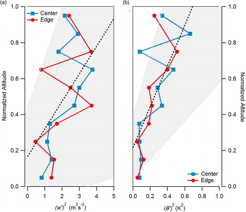 Fig. 11 Vertical profiles for centres and edges. Data for (a) fluctuations in vertical velocity, and (b) fluctuations of potential temperature, . Blue curves with square markers represent data from cloud centres for L1, L2, H1 and H2. Red curves with circle markers represent data from cloud edges for L1, L2, H1 and H2. Linear regressions for composites of all days, including both centre and edges (black dashed lines) and 95% confidence intervals for slopes are also represented (shaded area) showing the increase in turbulent quantities with height.
