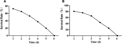 Figure 2 1h (A) (concentration: 46 μM) and 1j (B) (concentration: 46 μM) induced cell death in human umbilical vein endothelial cells in vitro.