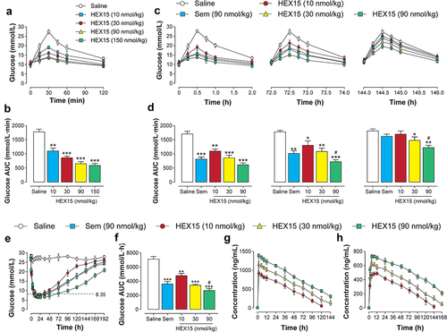 Figure 3. In vivo activities of long-acting Exendin-4 analogs. (a)-(b) Dose–response relationships for hypoglycemic effect of HEX15 in fasted db/db mice; (A) Glycemic changes and (B) AUC value of OGTT integrated from 0 to 120 min in fasted db/db mice. (c)-(d) Sustained glucose-stabilizing effects of HEX15 in fasted db/db mice; (C) Glycemic changes and (D) AUC value integrated from 0 to 120 min of each OGTT in fasted db/db mice. (e)-(f) Hypoglycemic durations of HEX15 in non-fasted db/db mice; (E) Glycemic changes and (F) AUC value during 0–192 hours in db/db mice. (g)-(h) Pharmacokinetic profiles of HEX15 in SD rats; The time-dependent plasma levels of (G) intact HEX15 and (H) released Exendin-4. All data are expressed as means with error bars as standard deviations (n = 8). *, ** or *** denote P < 0.05, 0.01 or 0.001 vs. saline group; # denotes P < 0.05 vs. Semaglutide group.
