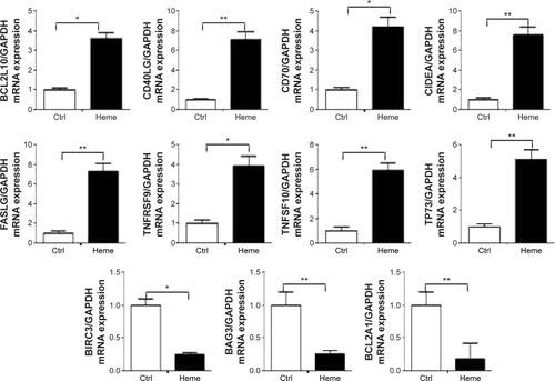 Figure 3 Eleven genes (BCL2L10, CD40LG, CD70, CIDEA, FASLG, TNFRSF9, TNFSF10, TP73, BIRC3, BAG3, and BCL2A1) involved in apoptosis were validated by qPCR analysis from 16 upregulated genes and six downregulated genes at a threshold of greater than twofold expression alteration of DNARTCitation2 profile PCR array-based gene expression profiling data.