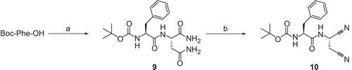 Scheme 3.  Synthesis of compound 10. Reagents and conditions: (a) (i) N-methylmorpholine, ClCO2CH2CH(CH3)2, THF; (ii) H-Asn-NH2 × HCl, H2O, 1 N NaOH, −25°C to room temperature; (b) (ClCN)3, DMF, room temperature.