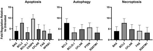 Figure 9. Ex vivo genetic cell death signature assessment. The 11 significantly upregulated genes in histotripsy-ablated canine OS tumor samples compared to paired untreated tumor regions (n = 4) were associated with (A) Apoptosis, (B) autophagy, and (C) necroptosis.