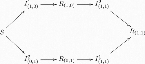 Figure 2. Transitions between classes with two co-circulating strains.