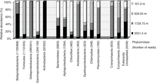 Fig. 5 Distribution of major phyla/classes of small subunit rRNA gene sequences generated by Illumina MiSeq sequencing. The number of reads for each column is given in parentheses. Groups are shown in numerically descending order of sequence reads.