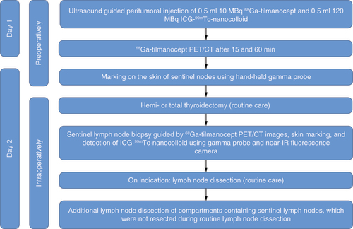 Figure 1. Flowchart of study procedures. ICG: Indocyanine green; PET/CT: PET with computed tomography.