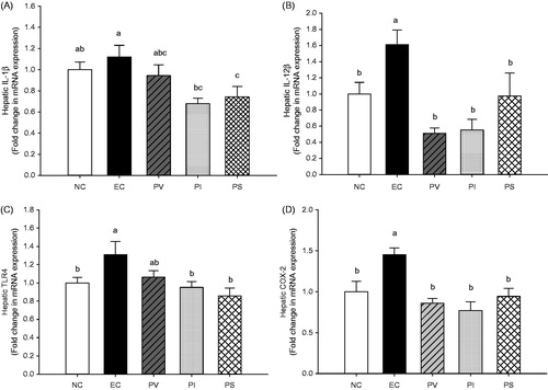 Figure 4. Effects of persimmon vinegar and its fractions on hepatic mRNA expression of (A) IL-1β, (B) IL-12β, (C) TLR4 and (D) COX-2 in alcohol-administered rats. Wistar rats were pretreated with PV and its fractions by gavage feeding for 4 weeks before ethanol administration. NC, normal control, water; EC, water + 50% ethanol treated control; PV, 100 mg/kg BW total concentrate of PV +50% ethanol; PI, 100 mg/kg BW ethanol-insoluble fraction of PV + 50% ethanol; PS, 100 mg/kg BW ethanol-soluble fraction of PV + 50% ethanol. Results represent the mean ± SE from three independent experiments. Values with different letters within the row are significantly different at p < 0.05 levels by a Duncan’s multiple range test.