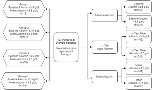 Figure 1. Flow chart of patients in the study group.