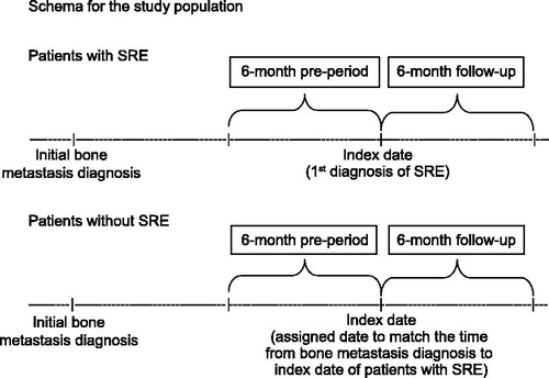 Figure 1. Schema for the study population. SRE, skeletal-related event.