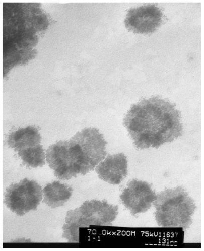 Figure 1 Transmission electron microscopic micrograph of liposomes. (Original magnification × 70 K).