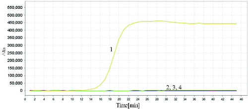 Figure 5. Specificity of RealAmp assays. Sample 1, pork; sample 2, cattle; sample 3, sheep; sample 4, chicken; sample 5, duck; sample 6, negative control.