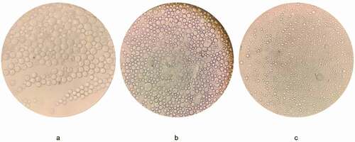 Figure 7. Microsphere morphology under the microscope during the preparation process