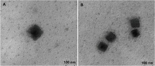 Figure 15 Transmission electron micrographs of 20(S)-protopanaxadiol cubosome with (A) and without (B) Pierine.Notes: Reproduced from Jin X, Zhang ZH, Sun E, et al. Enhanced oral absorption of 20 (S)-protopanaxadiol by self-assembled liquid crystalline nanoparticles containing piperine: in vitro and in vivo studies. Int J Nanomed. 2013;8:641-652Citation332