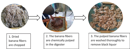 Figure 1. Chemical pulping of dry banana stem fibers.