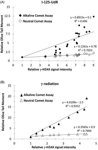 Figure 4. The relative Olive Tail Moment data of the alkaline and neutral Comet Assay are shown as a function of the relative γ-H2AX signal intensity after exposure to I-125-UdR (A) or γ-radiation (B). The SSB/DSB ratios were calculated from the slopes of the regression curves showing a SSB/DSB ratio of 6:1 for DNA-incorporated Auger electron emitter Iodine-125 and a SSB/DSB ratio of 10:1 for external γ-irradiation, respectively.