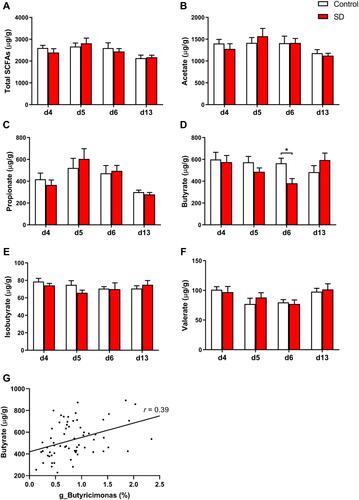 Figure 4 Effects of SD and recovery on the fecal content of SCFAs, including (A) total short-chain fatty acids, (B) acetate, (C) propionate, (D) butyrate, (E) isobutyrate, and (F) valerate. (G) Correlation between fecal butyrate content and the relative abundance of g_Butyricimonas. The data are expressed as mean ± SEM. *p < 0.05.