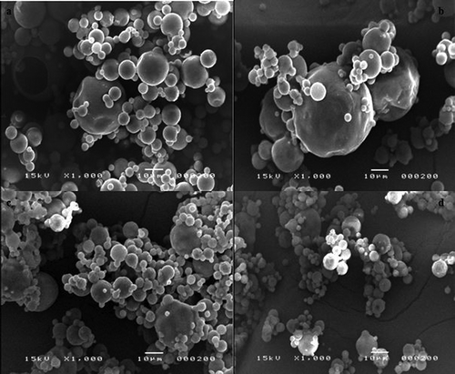 Figure 5. SEM micrograph of soy sauce powder produced using different atomization air flow rates. (a: 3 m3/h, b: 4 m3/h, c: 5 m3/h, d: 6 m3/h; inlet air temperature 160°C, feed flow rate 35 g/min.)Figura 5. Micrografía SEM de las salsas de soja en polvo producidas utilizando diferentes flujos de aire de atomización (a: 3 m3/h, b: 4 m3/h, c: 5 m3/h, d: 6 m3/h, temperatura del aire de entrada 160°C, nivel del flujo de alimentación 35 g/min).